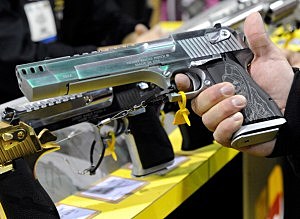 tax refunds used for handguns tax refunds used for handguns