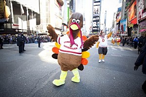 THIS guy isn't attacking people in Massachusets, but real turkeys are! THIS guy isn't attacking people in Massachusets, but real turkeys are!