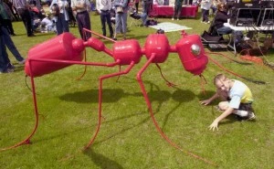 They're not THAT big, but they do fly They're not THAT big, but they do fly