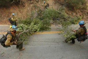 Forest Service has 559 lbs. of explosive stolen Forest Service has 559 lbs. of explosive stolen