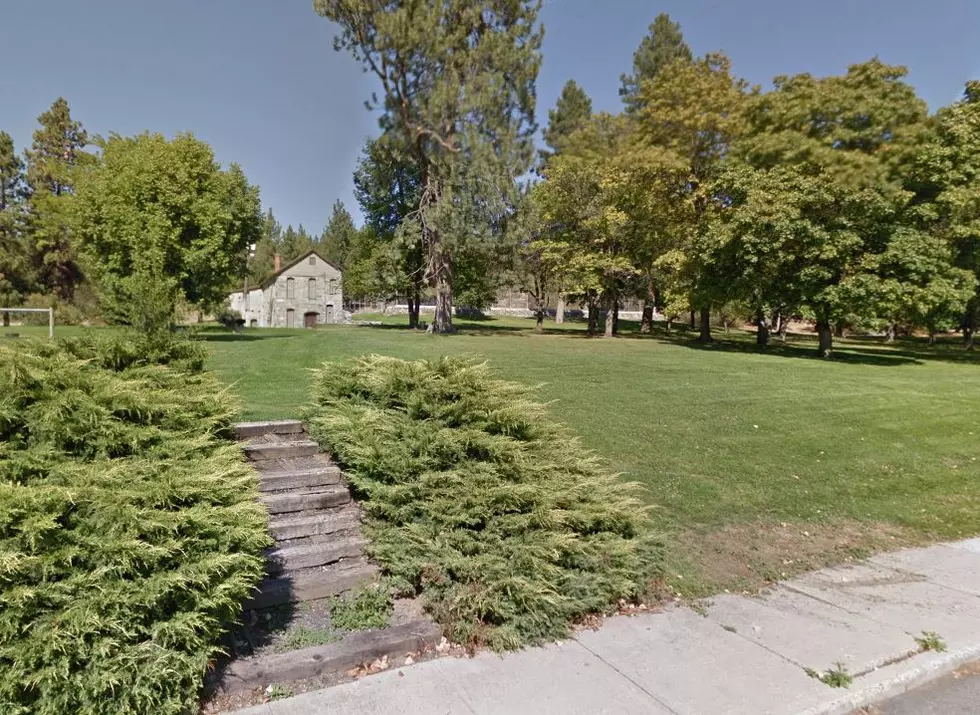 Green Spaces Found to Slow Cognitive Decline in Older Adults