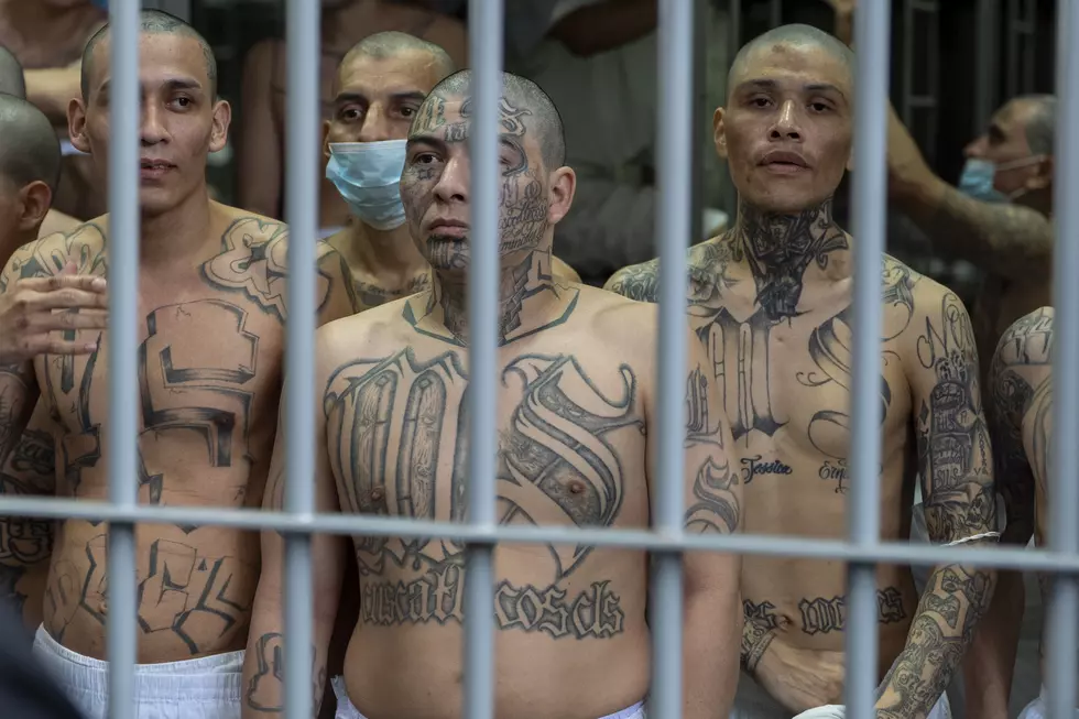 Arrest of MS-13 Member Uncovers Drug Trafficking Network in Yakima