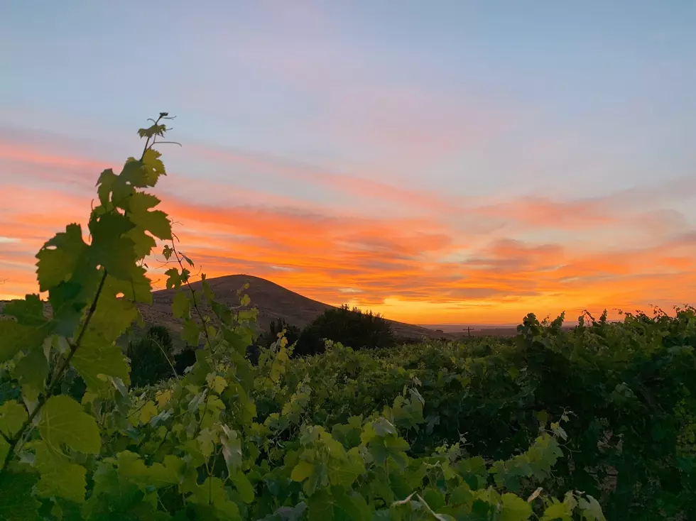 Candy Mountain is Washington Wine Country’s Latest Prized Piece