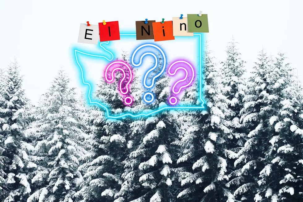 2023/24 El Niño is Forecast to Change Washington’s Winter Weather