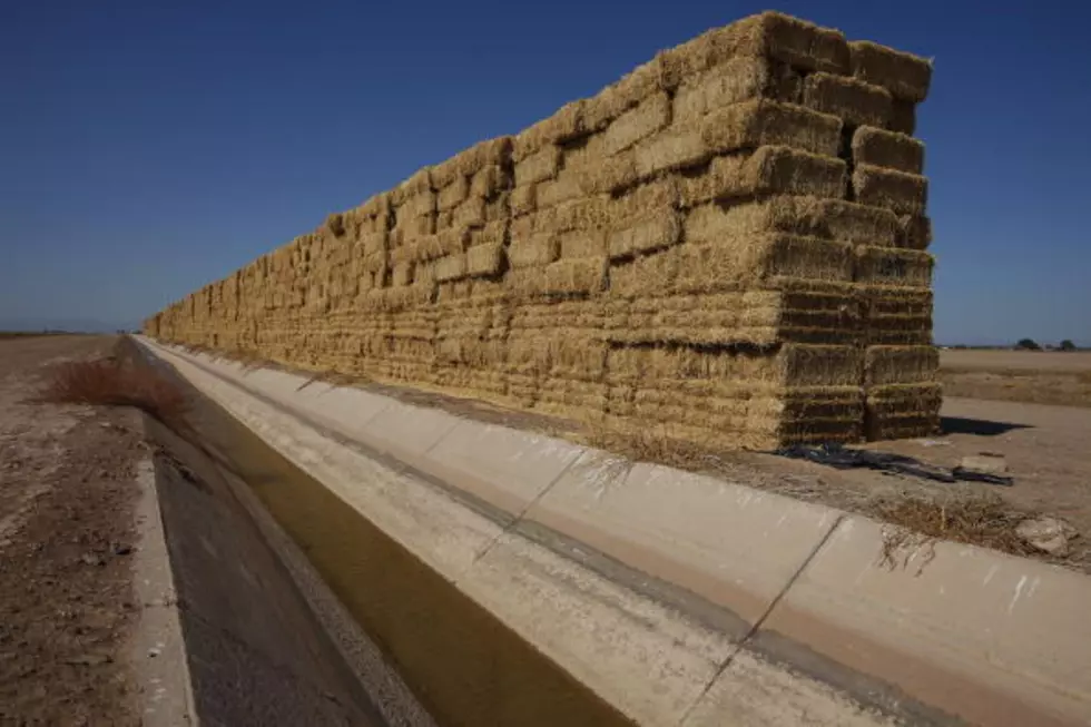 2015 Drought Could Be Felt Again in 2016