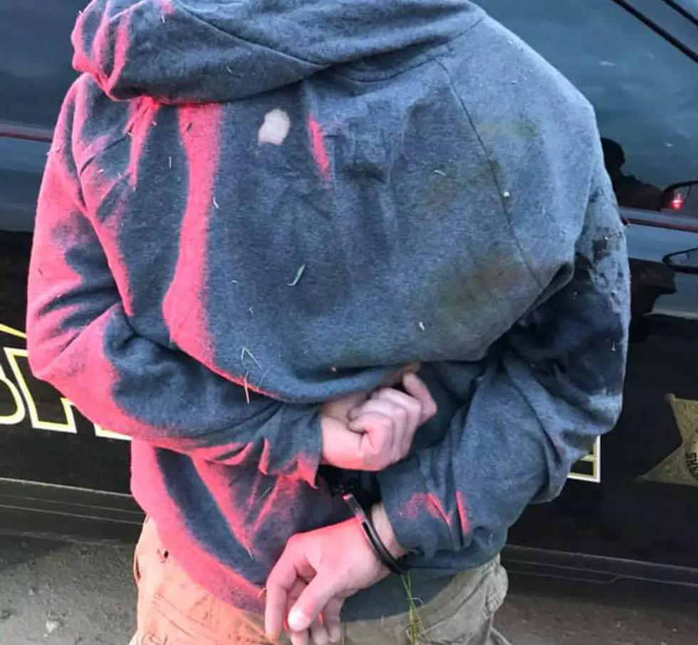 Drone, K-9 Capture Wanted Othello Suspect