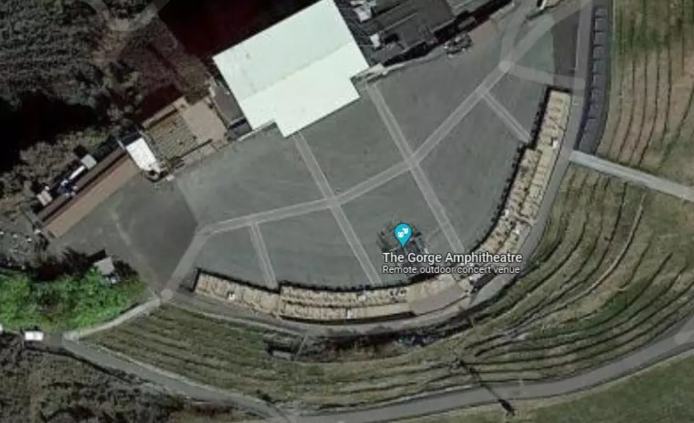Man Dies in Bizarre Accident at Watershed Gorge Concert Festival