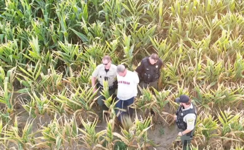 Drone Footage Shows Capture of Grant County Hit-And-Run Suspect
