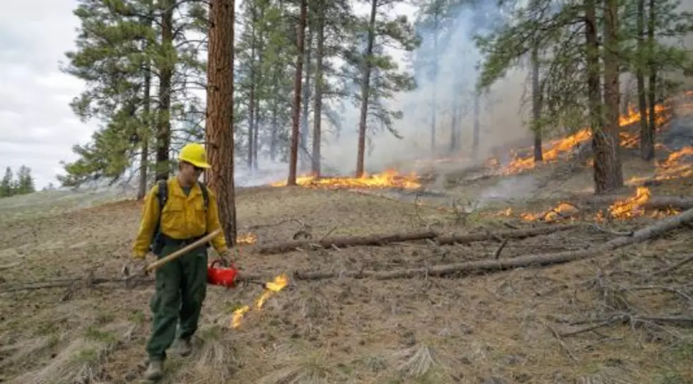 Planned Burns to Begin in March in WA State, Wildland Management