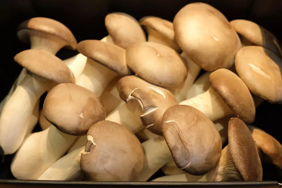 UW Study to Examine Use of Psychedelic Shrooms for Mental Issues