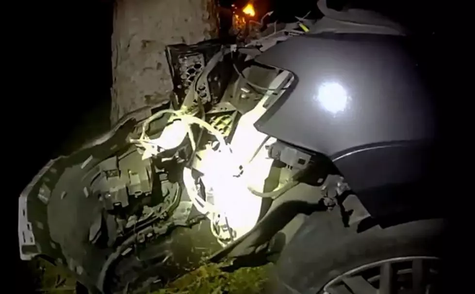 Drunk Spokane Teens Wrap Vehicle Around Tree, Survive