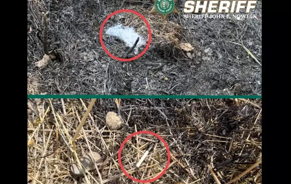 ‘Serial’ Arsonist Busted for Spokane County Trail Fire