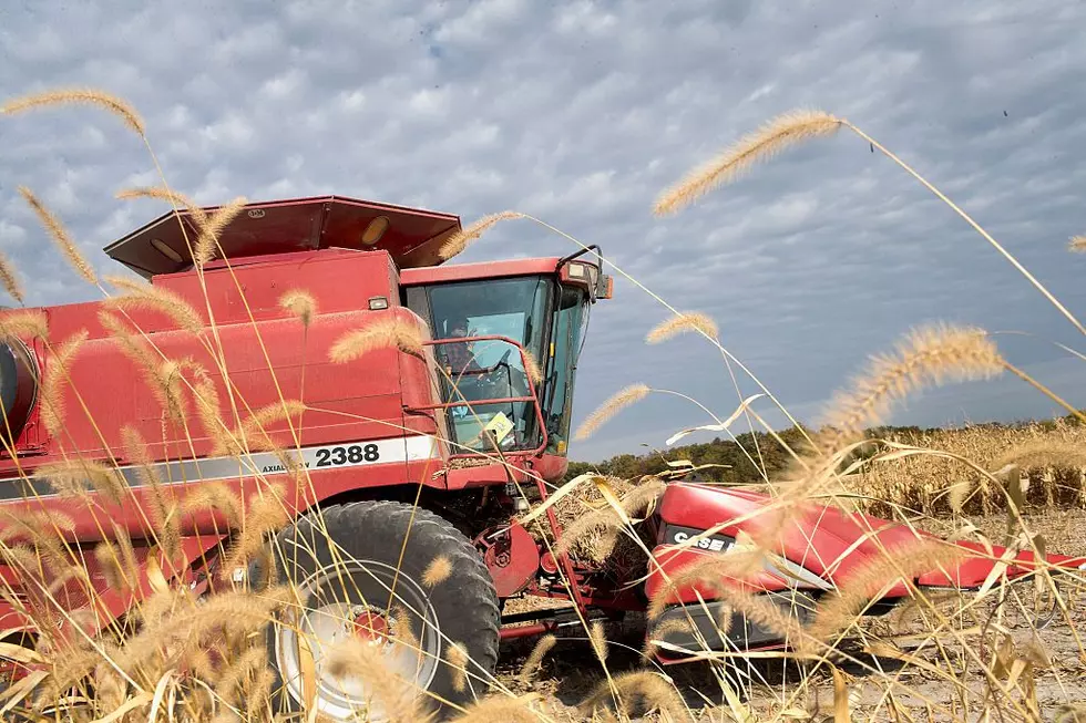 Robotic AI Farming In Washington State Closer Than You Think