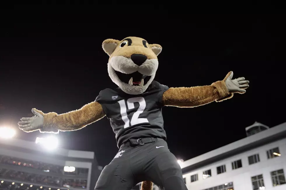 WSU Football Ranked #14 in New National Poll, UW Ranked #15