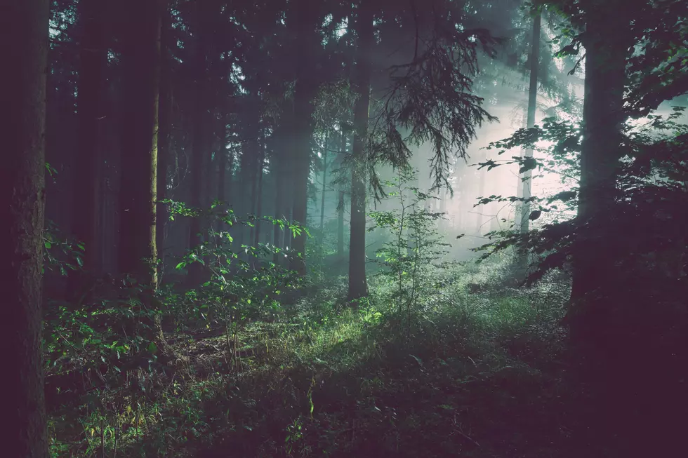 Woman Encountered Bigfoot Over The Course of 10 Years near Kalamazoo, Michigan